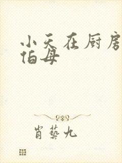 小天在厨房插杨伯母