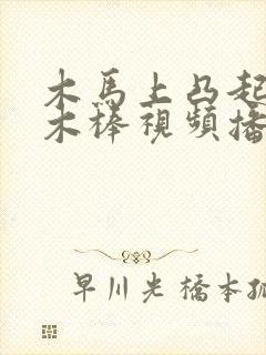 木马上凸起电动木棒视频播放