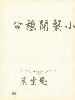 公憩关系小说