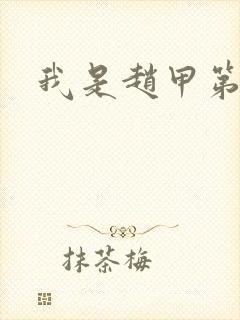 我是赵甲第小说