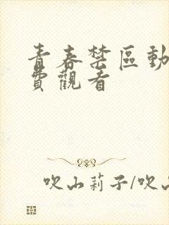 青春禁区动漫免费观看