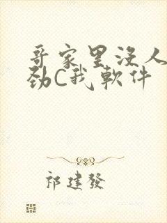 哥家里没人使点劲C我软件