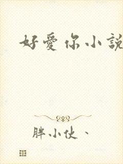 好爱你小说