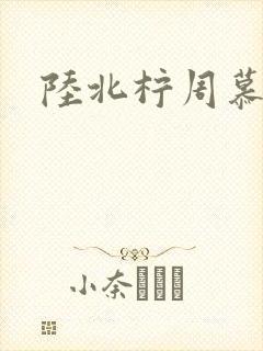 陆北柠周慕深