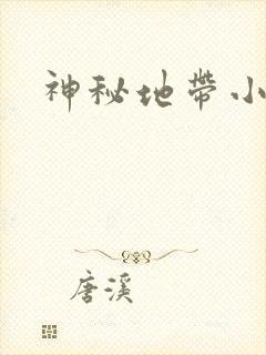 神秘地带小说