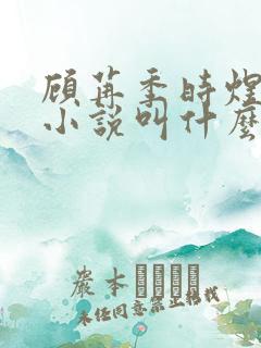 顾苒季时煜电竞小说叫什么名字