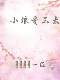 小狼爱正太