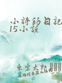 小诗的日记1一15小说