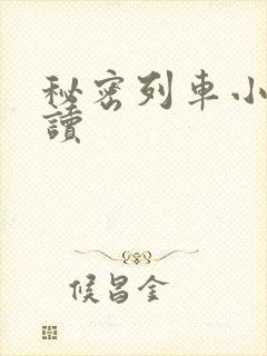 秘密列车小说阅读