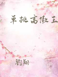 单挑高傲王子