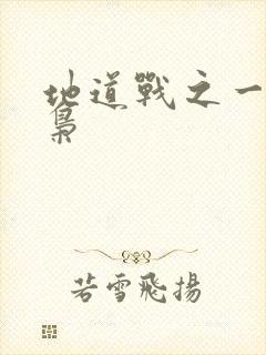 地道战之一代功枭