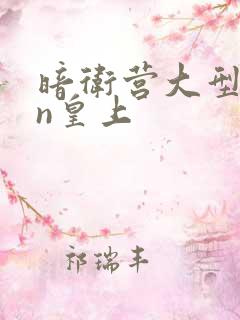 暗卫营大型hpn皇上