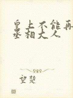 皇上不能再进了丞相大人