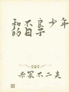 和不良少年战斗的日子