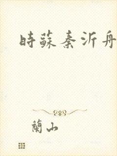 时苏秦沂舟小说