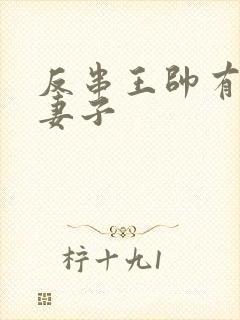 反串王帅有几任妻子