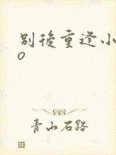 别后重逢小说po