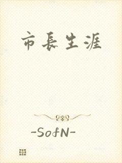 市长生涯