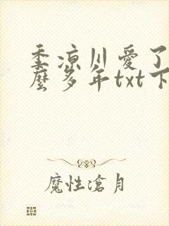 季凉川爱了你这么多年txt下载