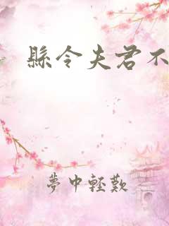 县令夫君不升堂