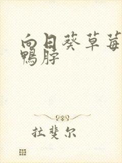 向日葵草莓丝瓜鸭脖