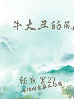 牛大丑的风流记