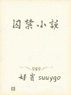 囚禁小说
