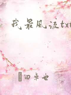 我最风流txt