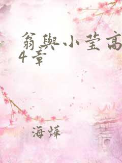 翁与小莹高潮24章