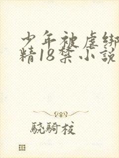 少年被虐绑着榨精18禁小说