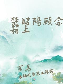 楚昭阳顾念在冰箱上