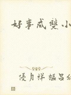 好事成双小说