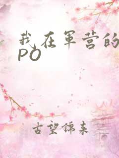 我在军营的日子PO