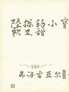 陆总的小宝贝又软又甜