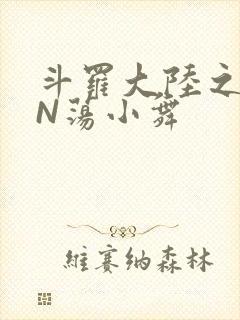 斗罗大陆之YIN荡小舞