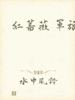红蔷薇 军旅文