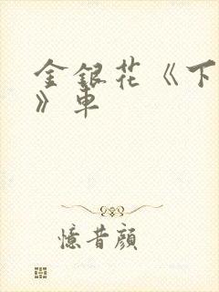 金银花《下厨房》车