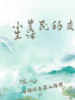 小农民的爽歪歪生活