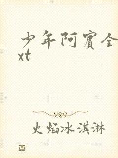 少年阿宾全集txt