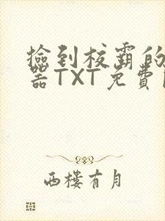 捡到校霸的遥控器TXT免费阅读