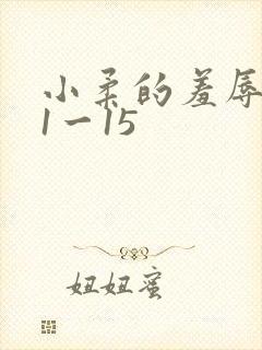 小柔的羞辱日记1一15