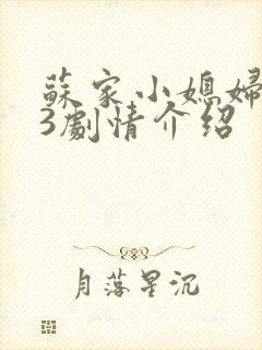 苏家小媳妇1v3剧情介绍