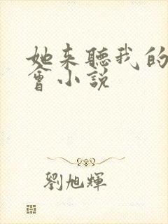 她来听我的演唱会小说