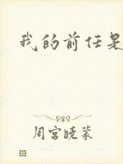 我的前任是极品