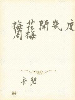 梅花开几度老张周梅