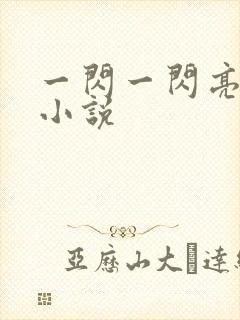 一闪一闪亮晶晶小说