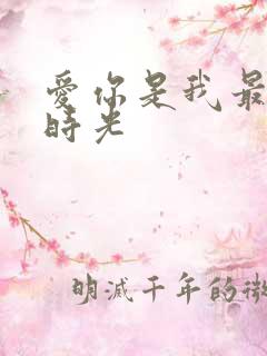 爱你是我最好的时光