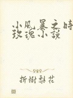小风暴之时间的玫瑰小说