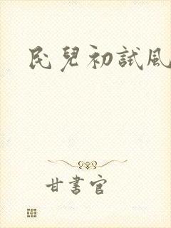 民儿初试风雨录