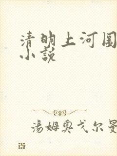 清明上河图密码小说